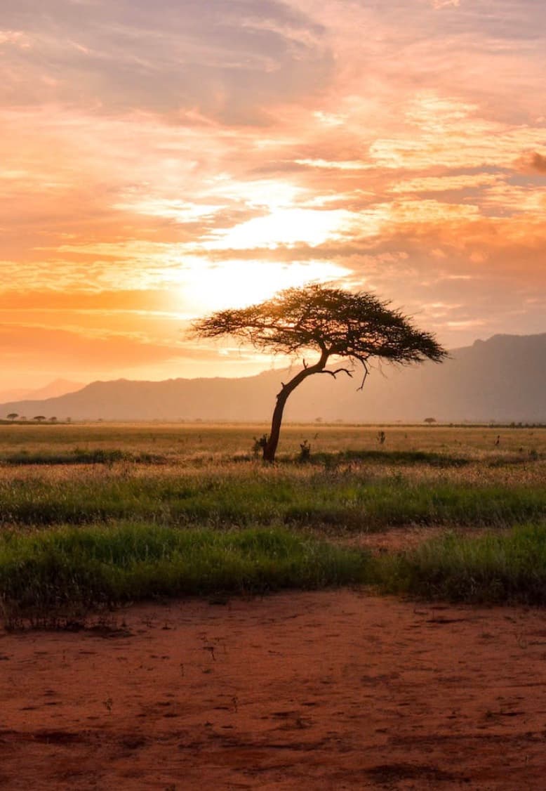 Afrique du Sud
